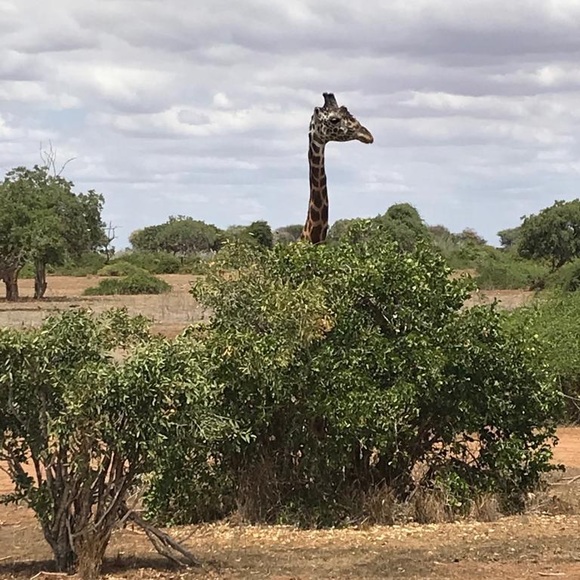 Meet your Posher - Picture 6 of 7